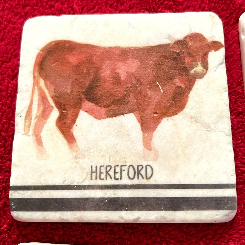 English Farm Animals Cows & Pigs Stone Coasters Set of 4